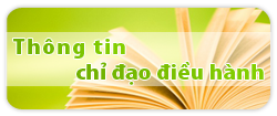 Thông tin chỉ đạo điều hành