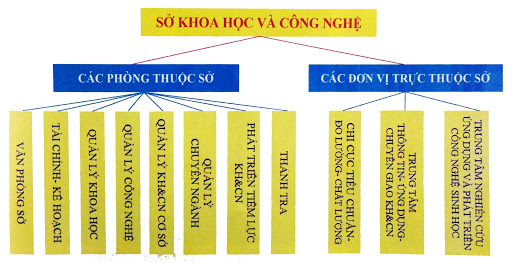 Organizational structure